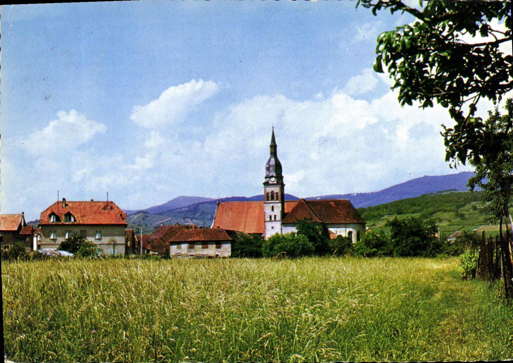 CPSM L'Alsace Pittoresque Ingersheim Ht Rhin Vue de l'Eglise