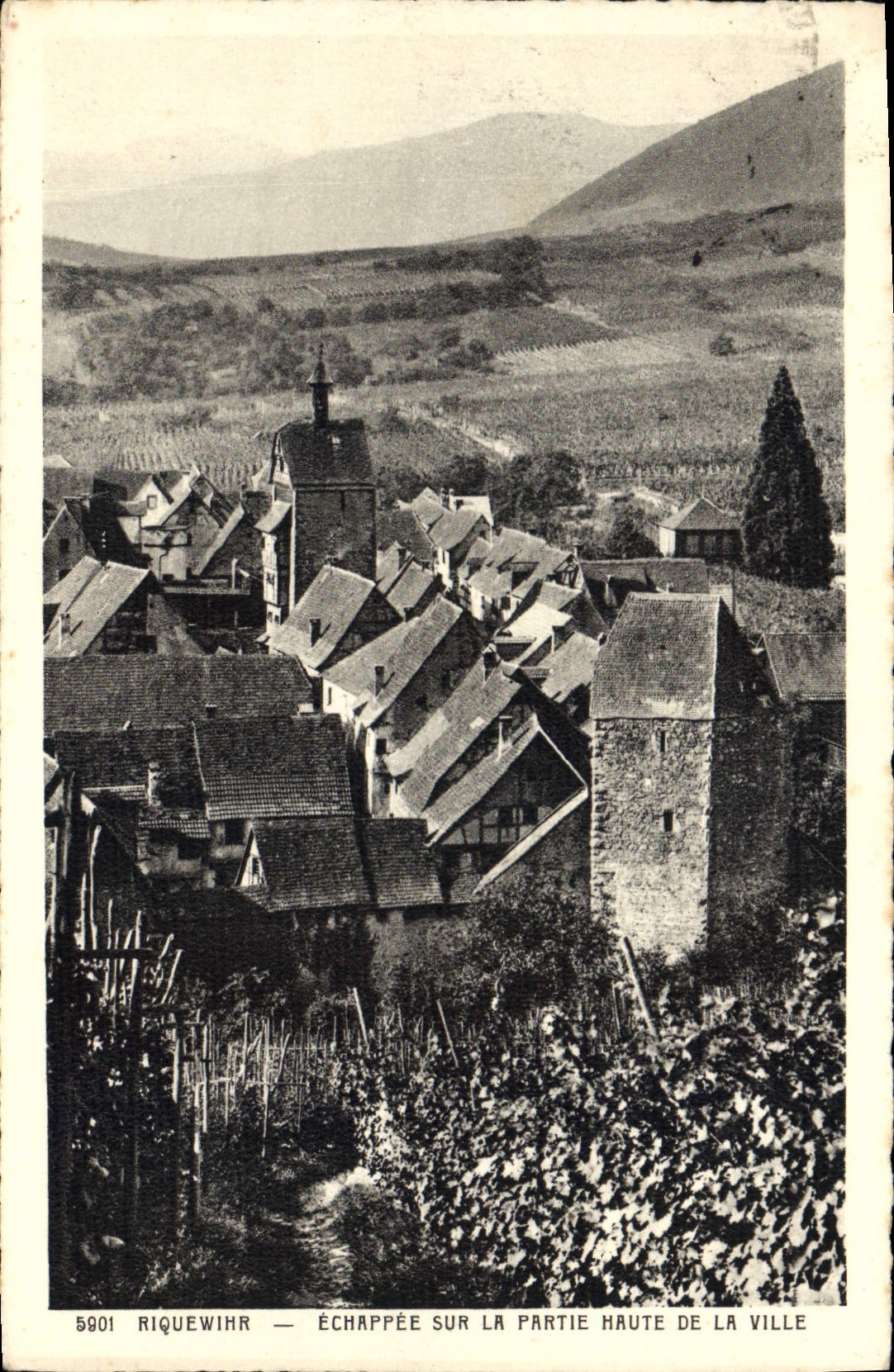 CPA Riquewihr Echappee sur la Partie Haute de la Ville 