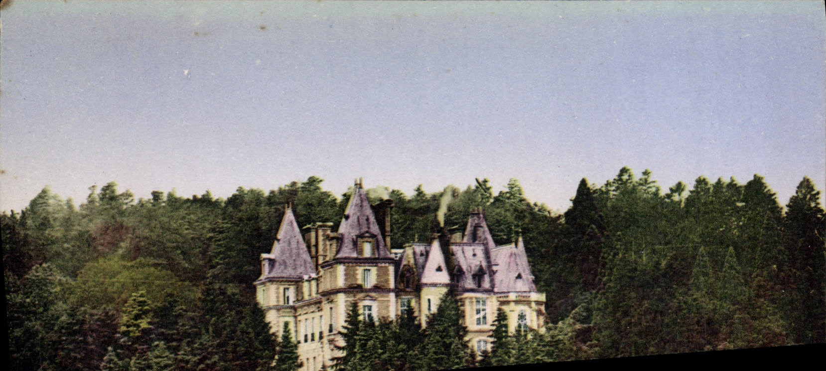 CPA Les Halles Rhone Le Chateau dans la Foret 