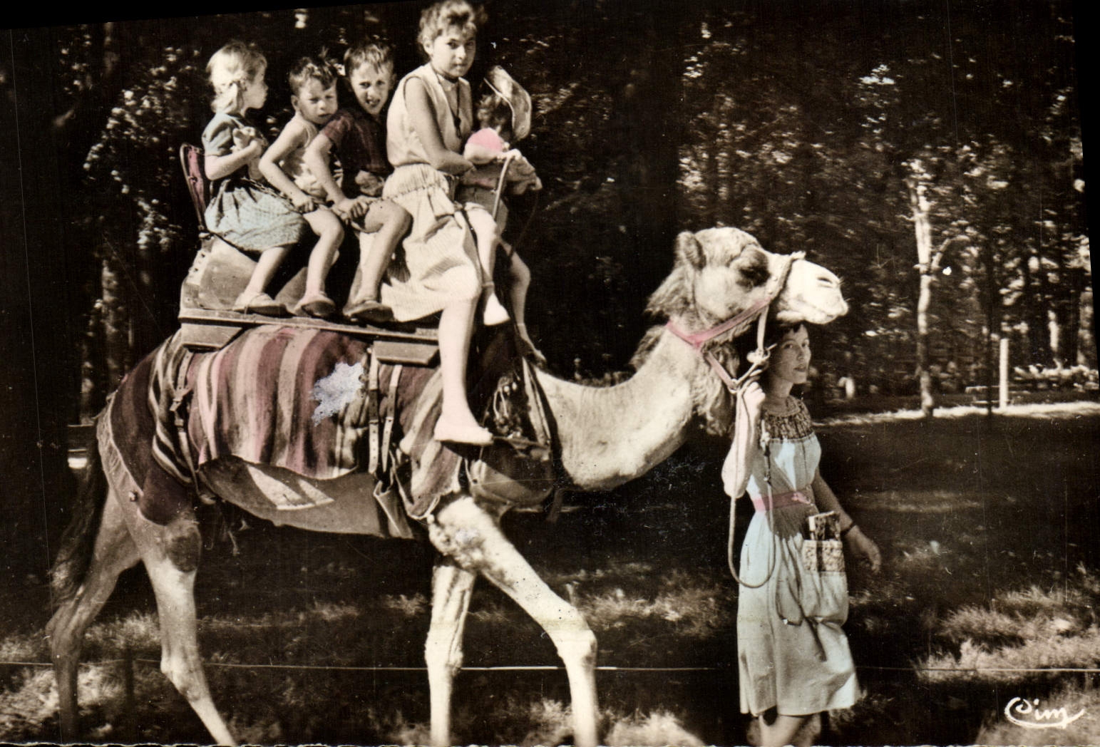 CPA Lyon Rhonne Parc de la Tete d'Or Promenade dese Enfants