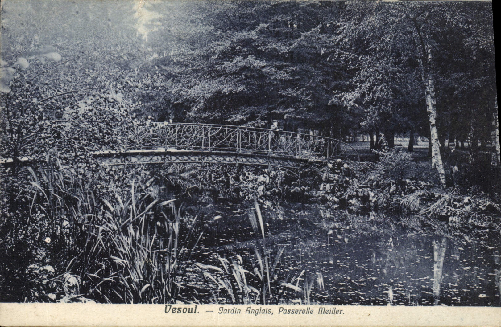 CPA Vesoul Jardin Anglais Passerelle Meiller