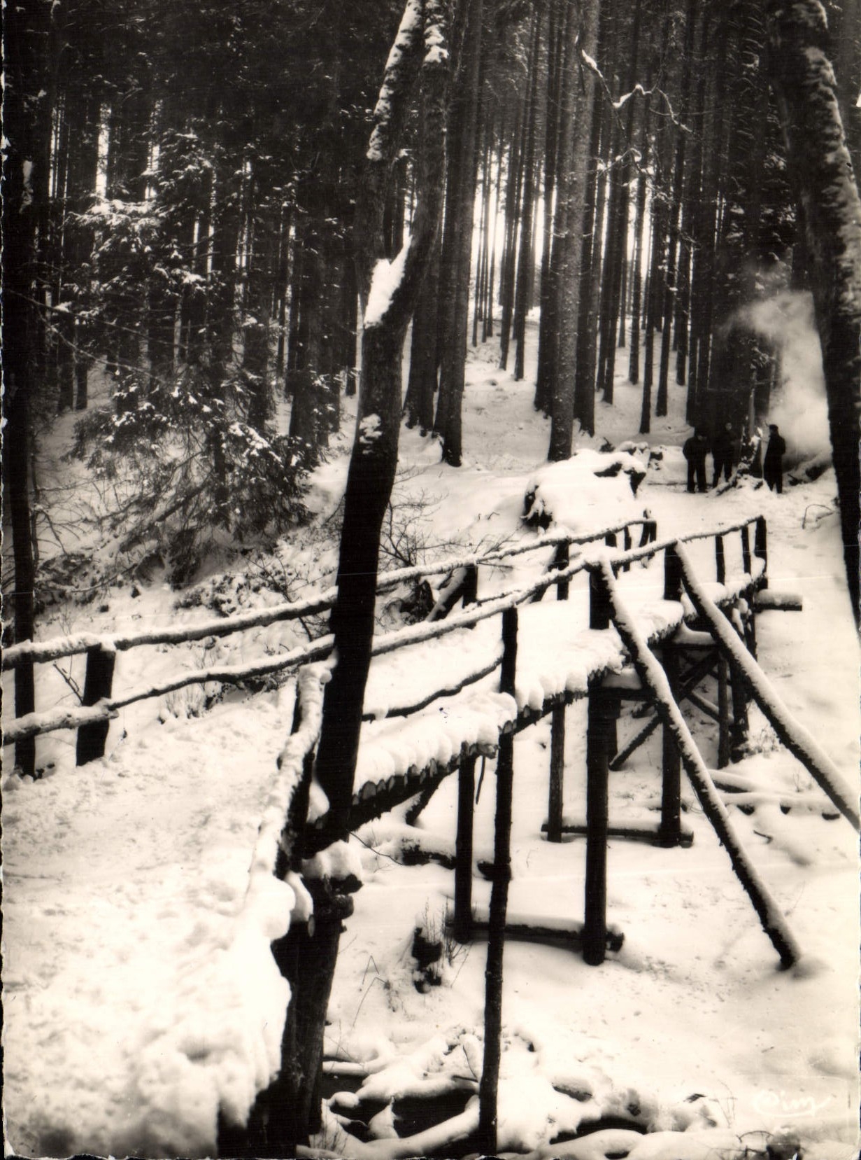 CPSM France Touristique Station de Ski du Haut Folin La Passerelle 