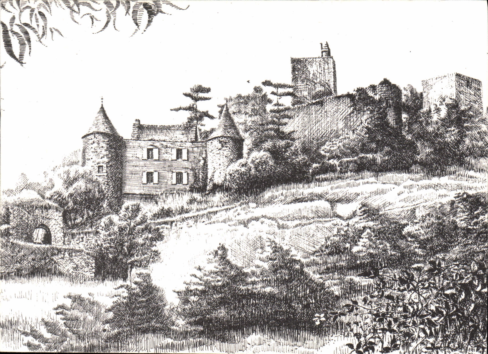 CPSM Haut lieu du Maconnais La forteresse de Brancion 