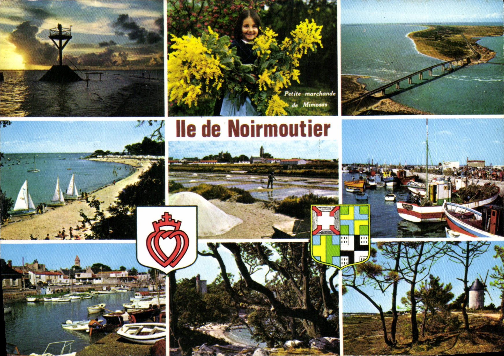 CPSM Ile de Noirmoutier multivues petite marchande de mimosas