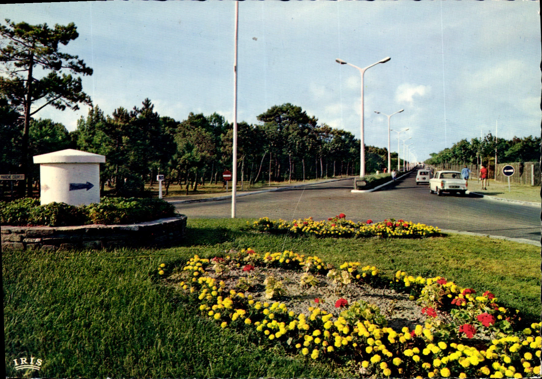 CPSM SAINT JEAN DE MONTS Vendee nouvelle avenue de la foret