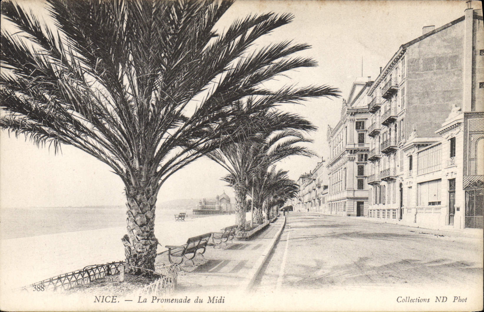 CPA NICE La Promenade du Midi 