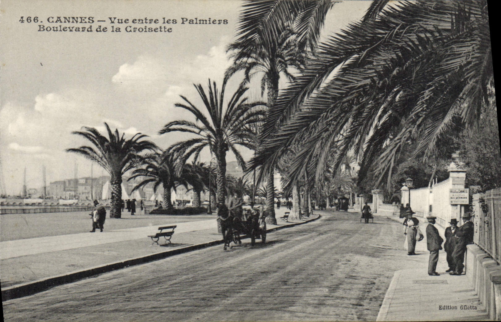 CPA CANNES Vue entre les Palmiers Boulevard de la Croisette