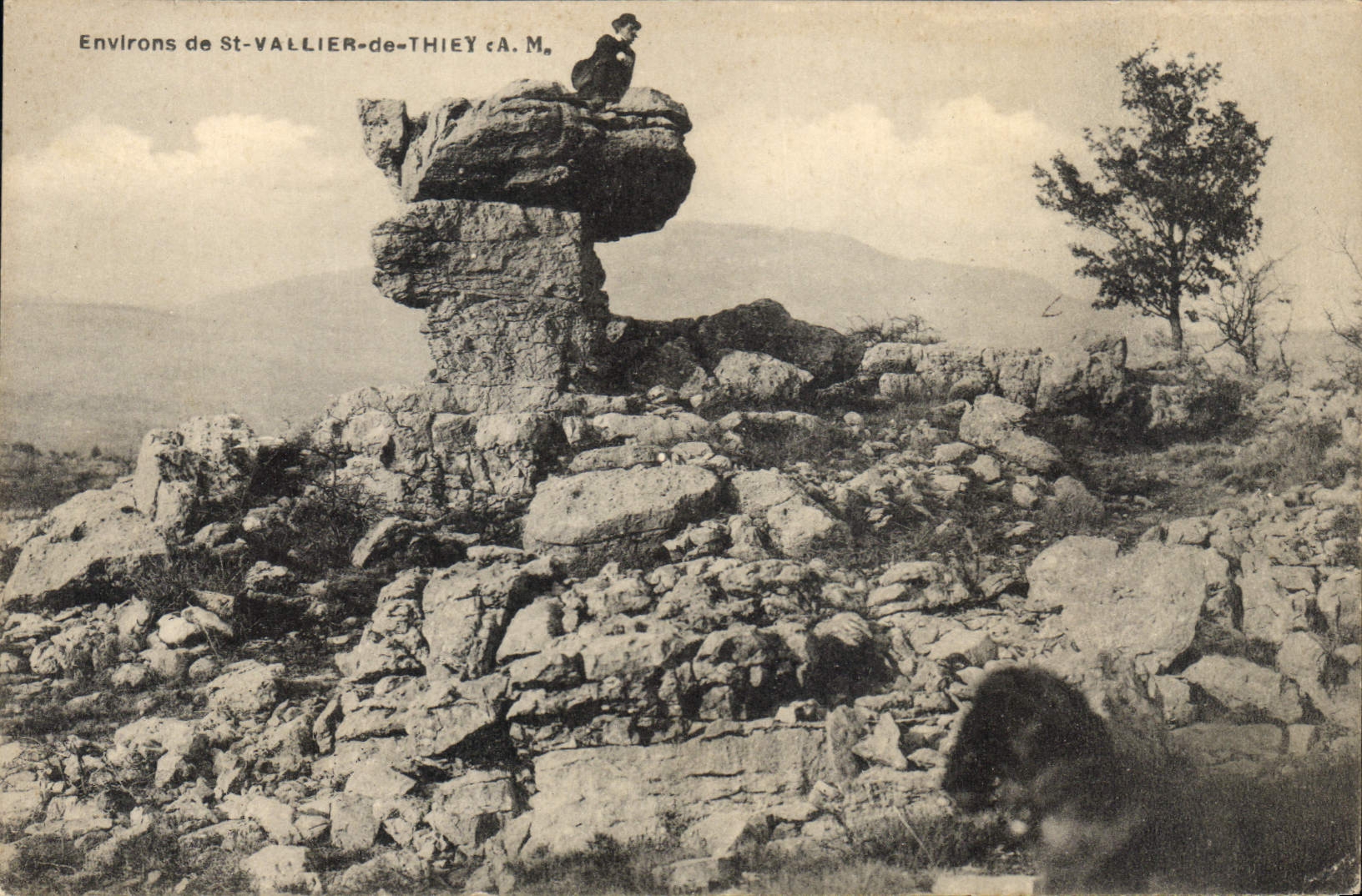 CPA Environs de St Vallier de Thiey 