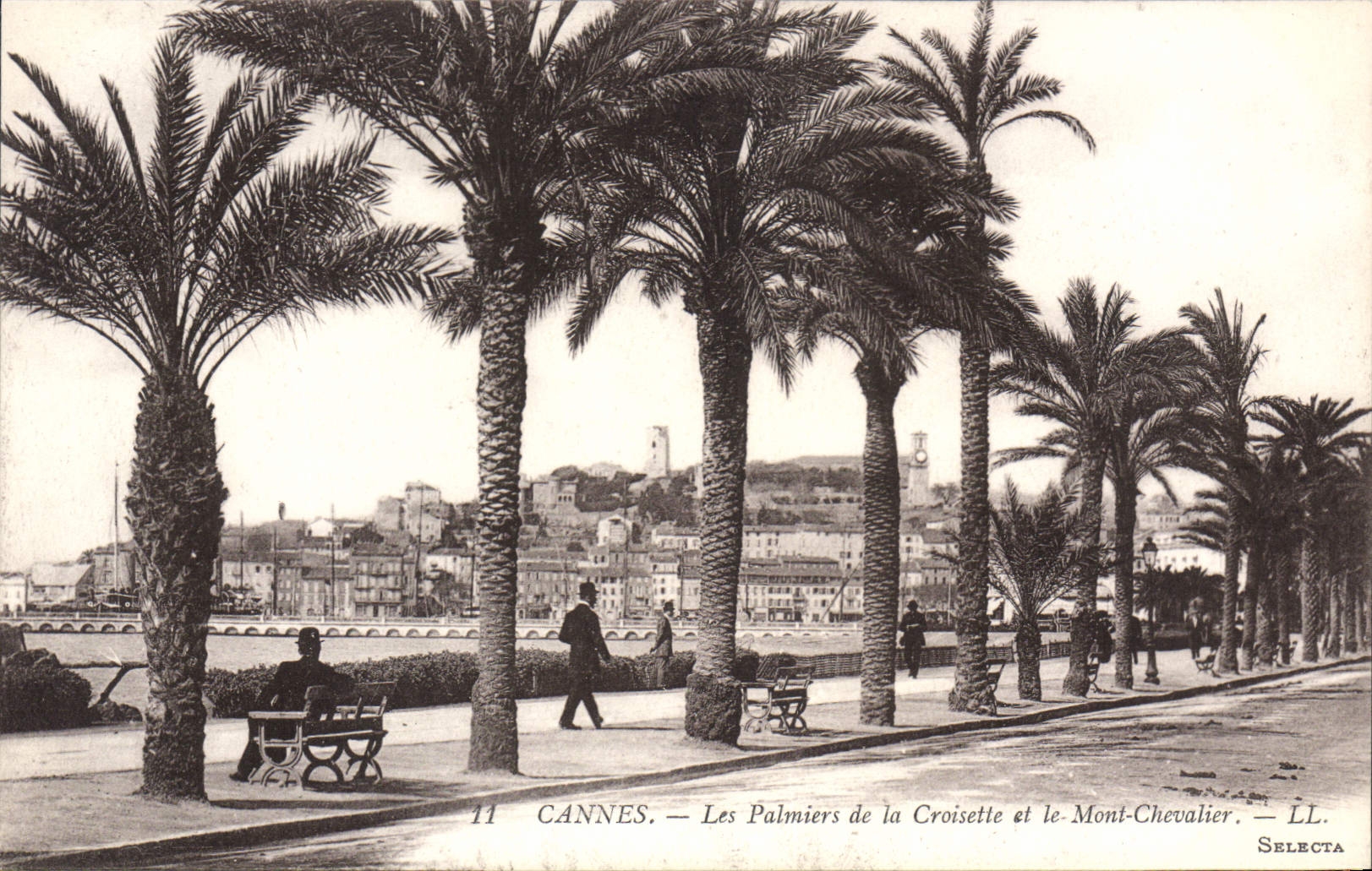 CPA CANNES les palmiers de la croisette et le mont chevalier