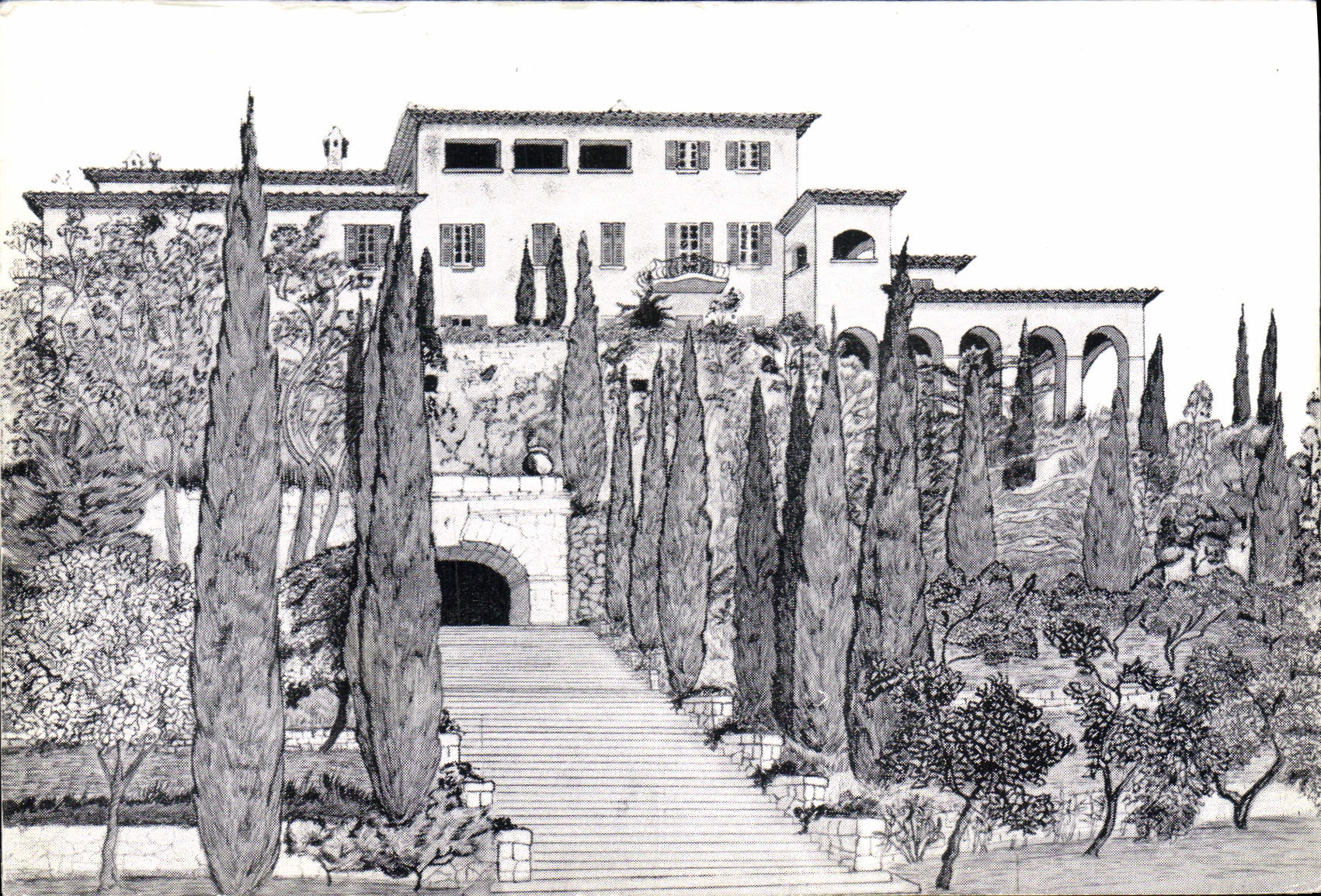 CPA L’Olivette roquebrune