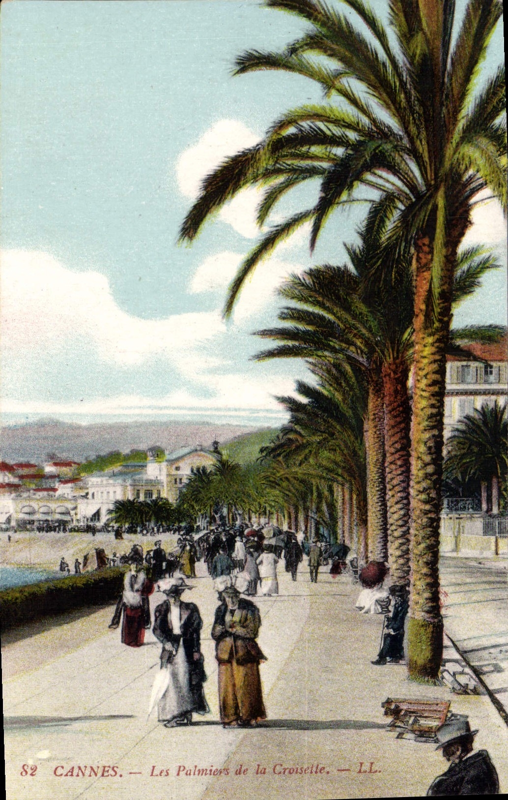 CPA Cannes les Palmiers de la Croisette 