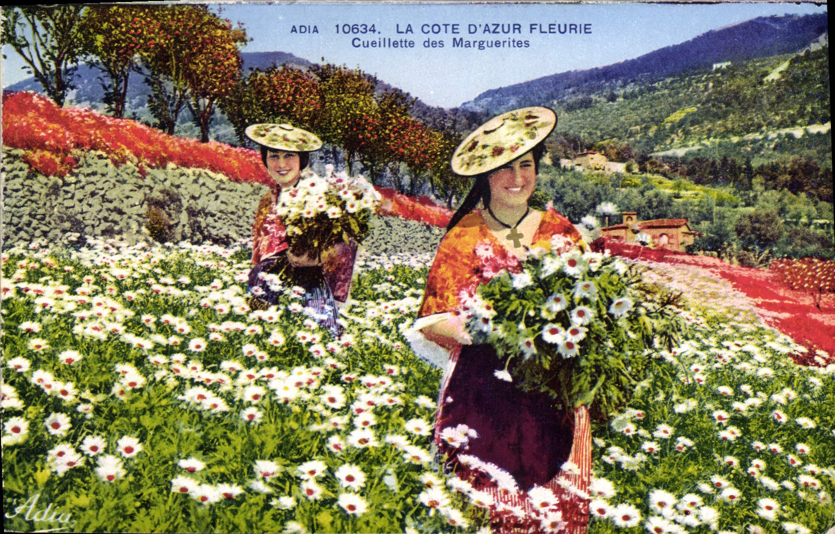 CPA La Cote d'Azur Fleurie Cueillette des Marguerites 