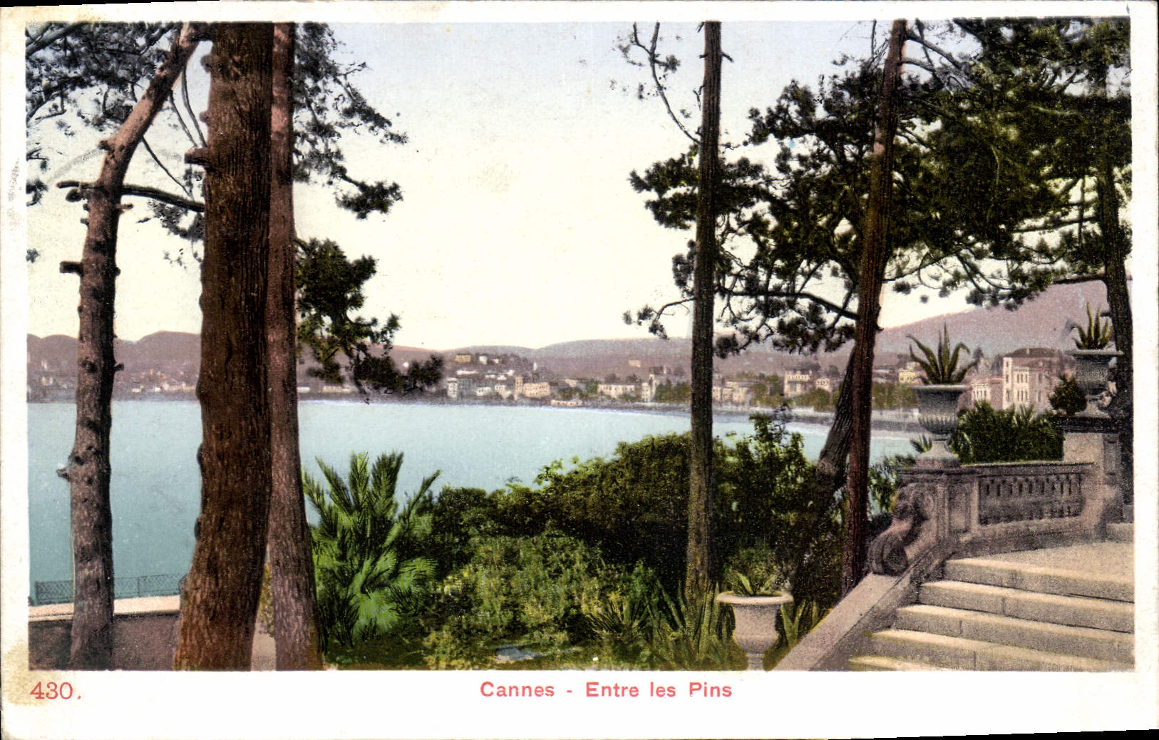 CPA Cannes entre les Pins 