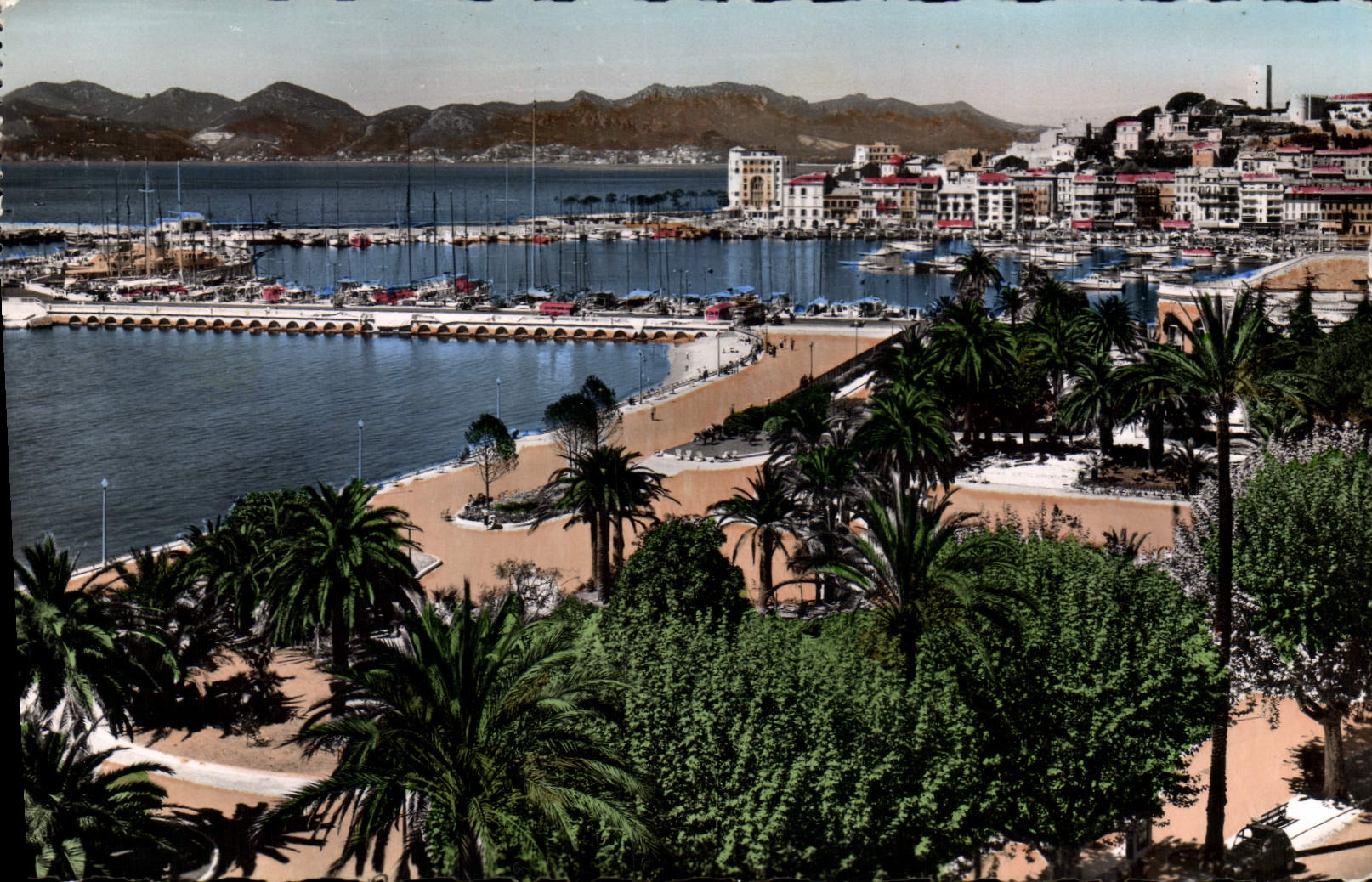 CPA La Cote D'Azur Cannes vers le Mont Chevalier l'Esterel 