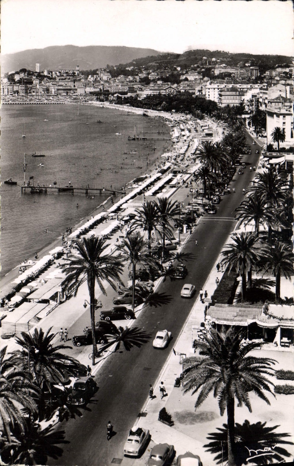 CPA La Cote d'Azur Cannes La Croisette 