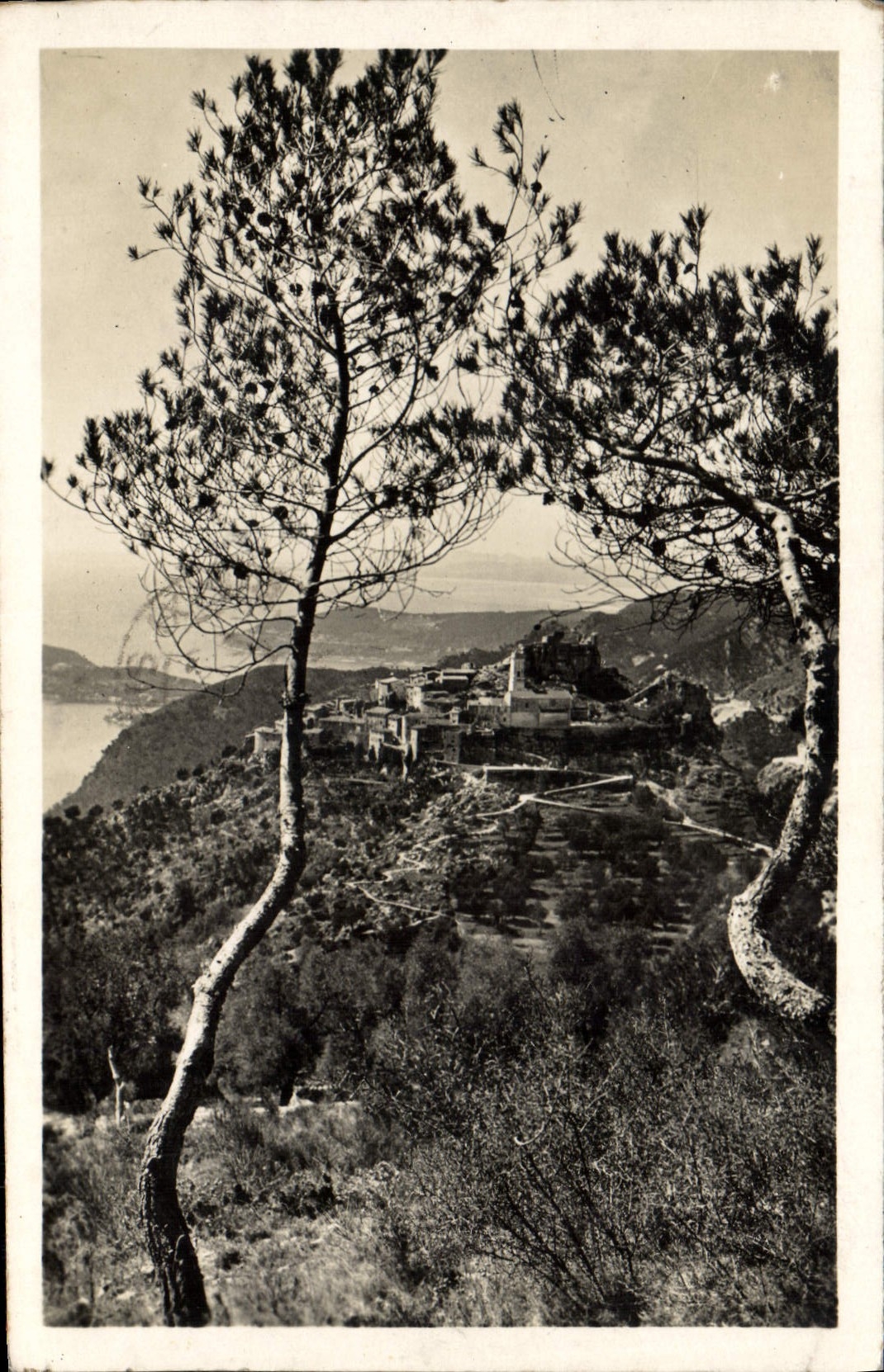 CPA Eze Alpes Mar Le Village vu a travers les pins