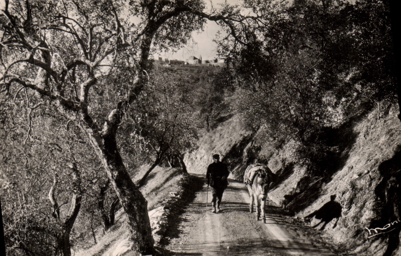 CPA Utelle Route grimpant de St Jean la Riviere