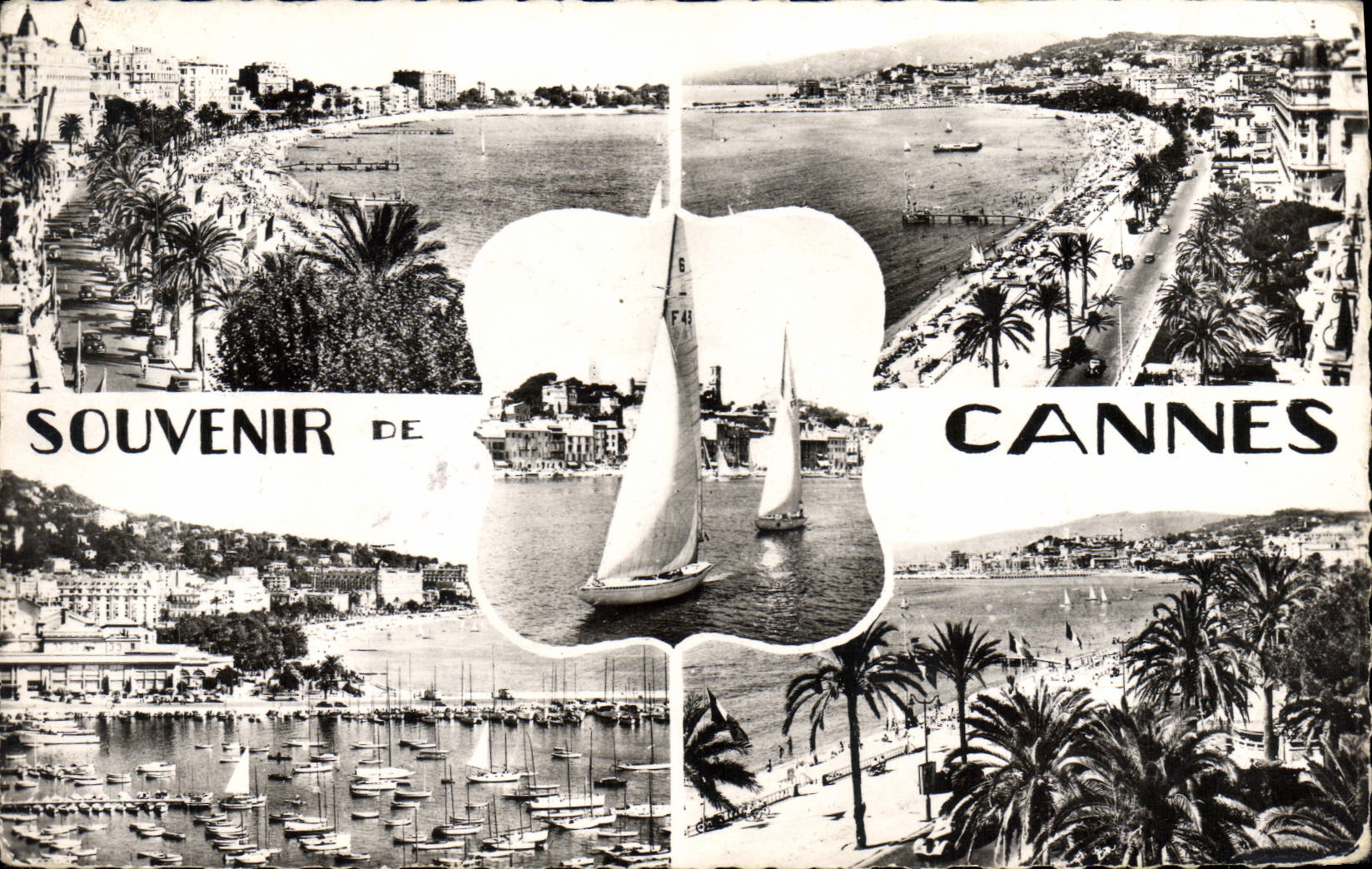 CPA Souvenir de Cannes 