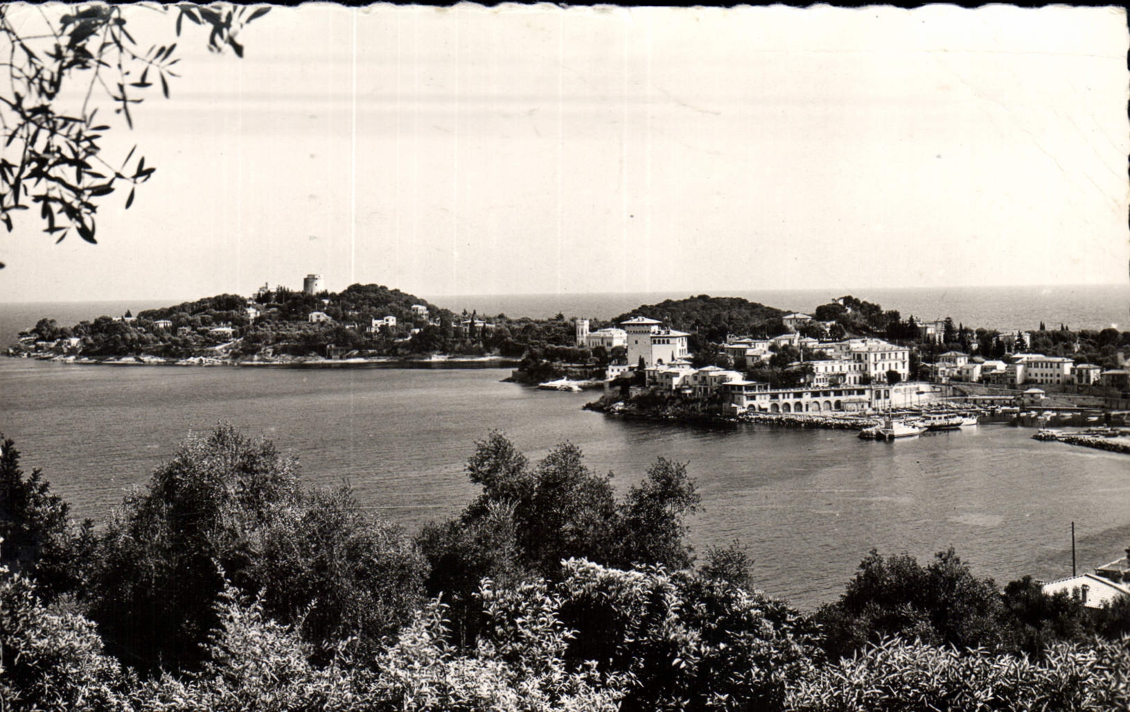 CPA Saint Jean Cap Ferrat le part et la Pointe St Hospice
