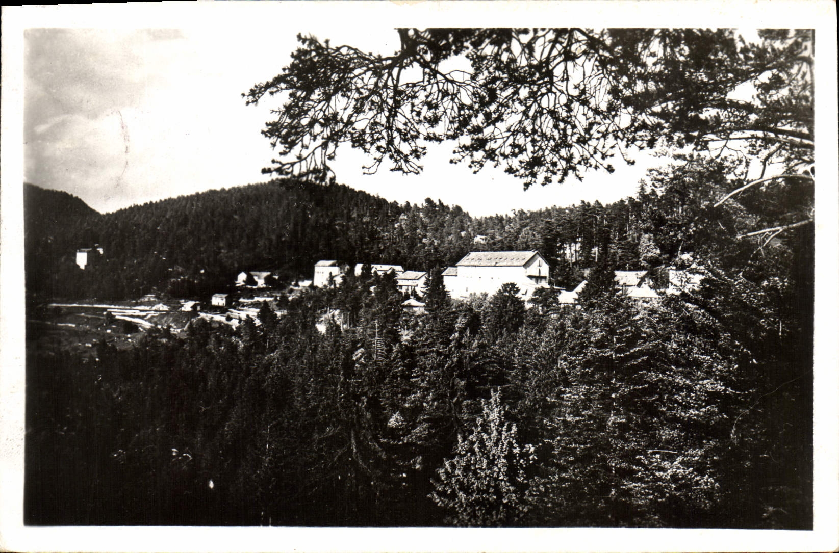 CPA Peira Cava sejour ideal dans la verdure Cure d'air