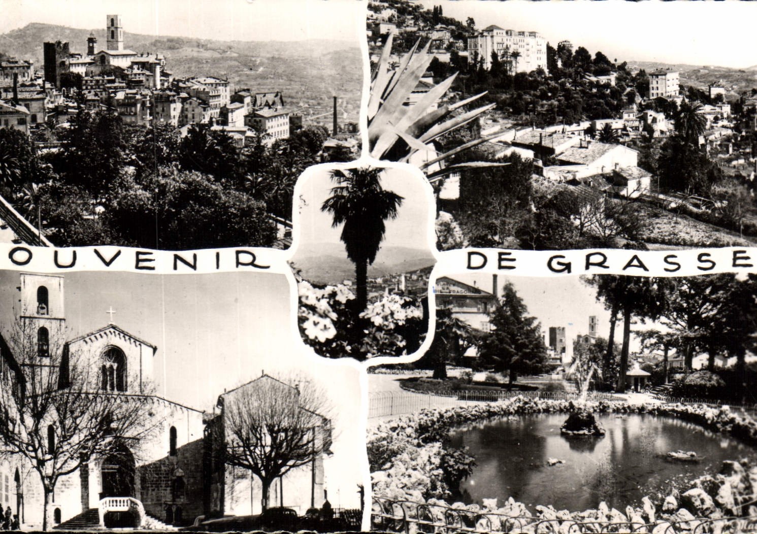 CPA La Cote D'Azur Grasse 