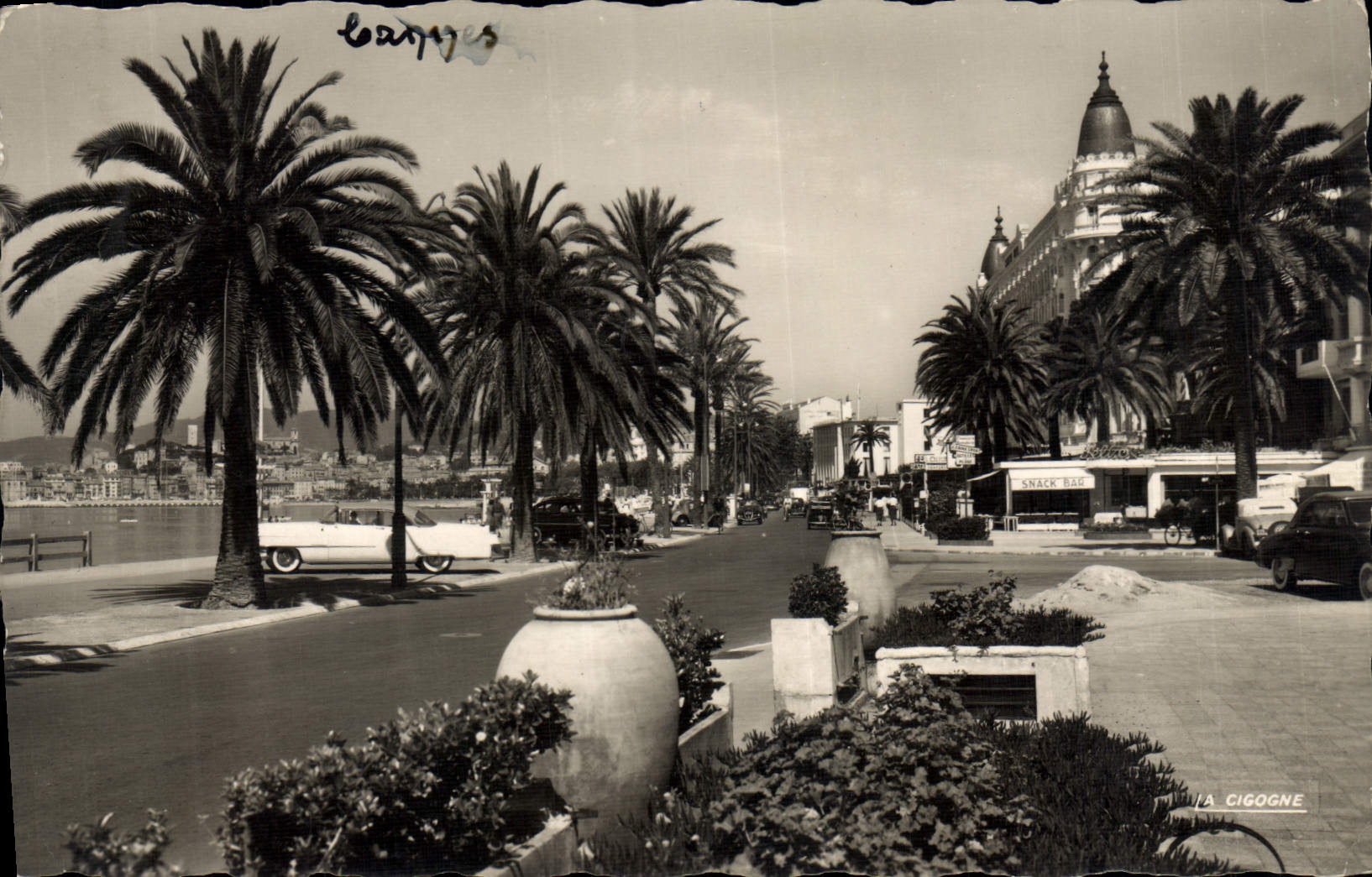 CPA Cannes Alpes Maritimes La Croisette 