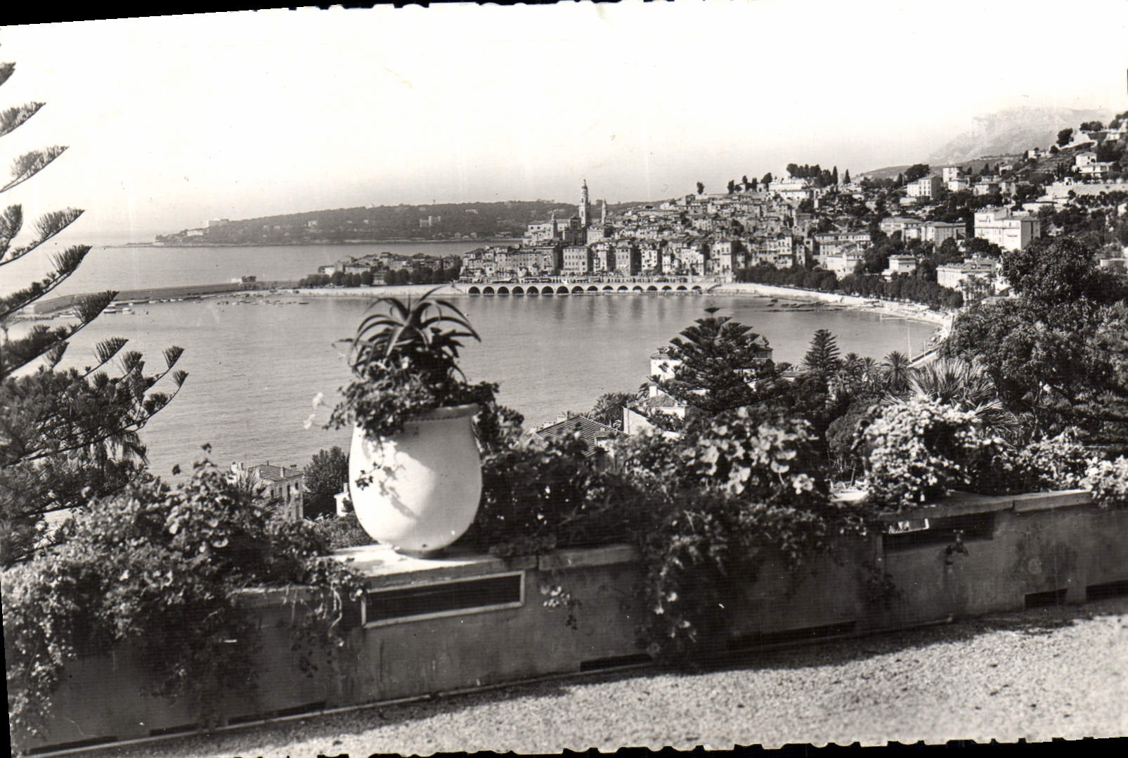 CPA Menton Alpes Maritimes Vue generale sur la villeet fond le Cap Martin