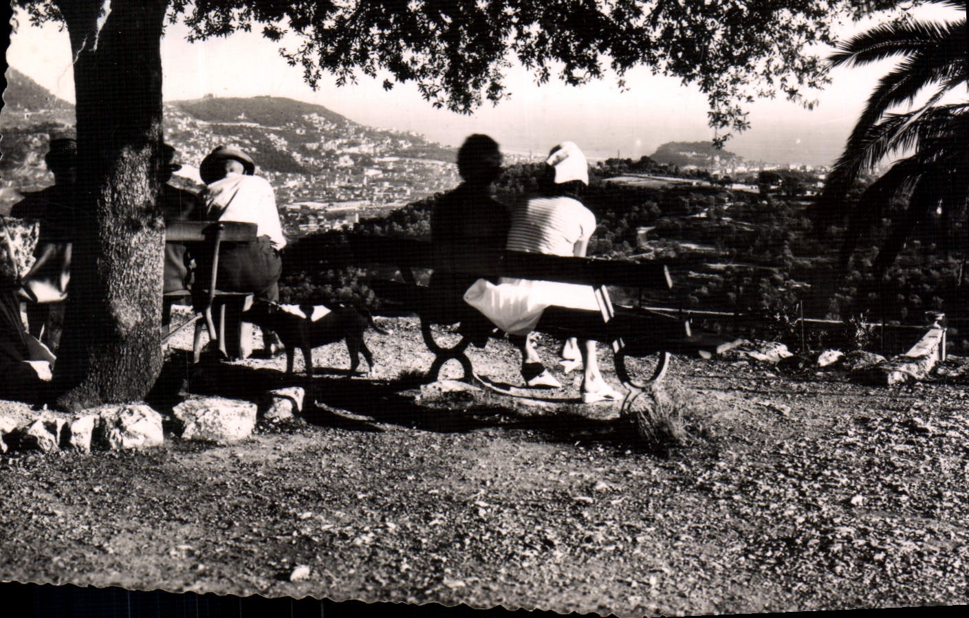 CPA Falicon Un joli point de vue 