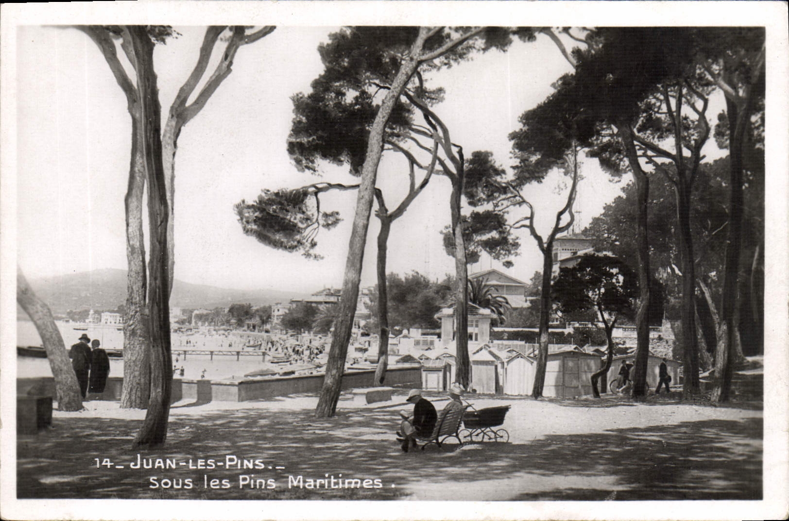 CPA Juan les Pins Sous les Pins Maritimes 