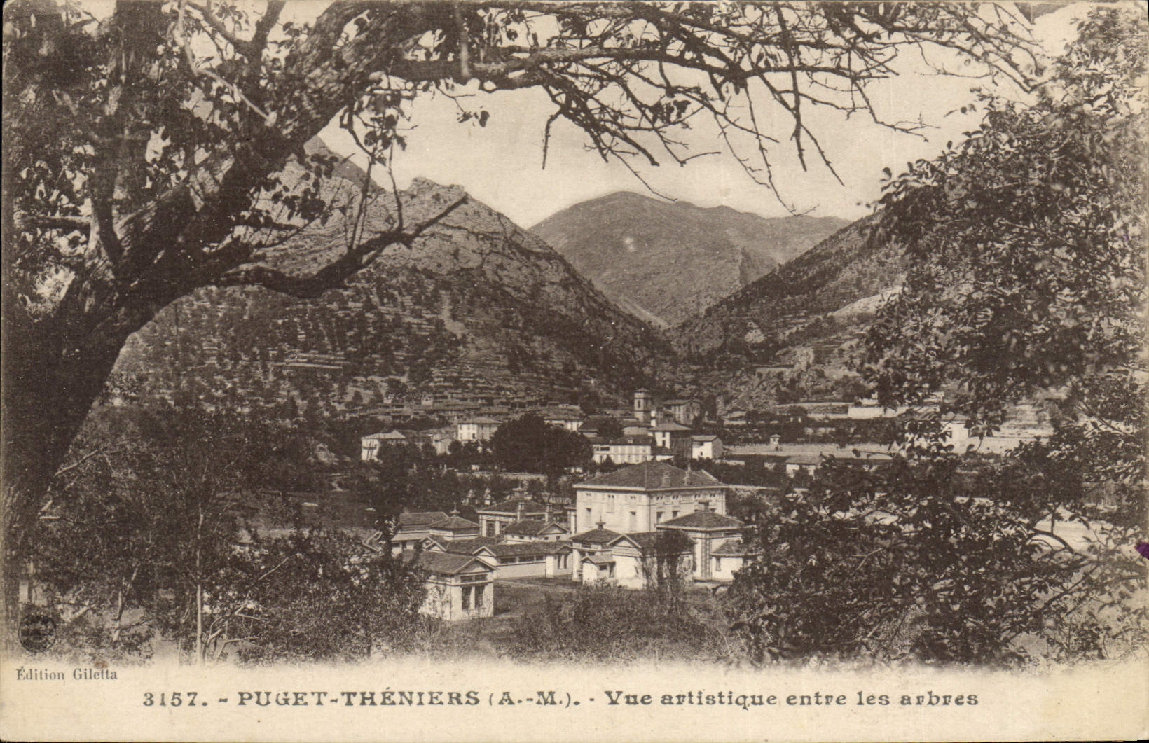 CPA Puget Theniers A M vue artistique entre les arbres