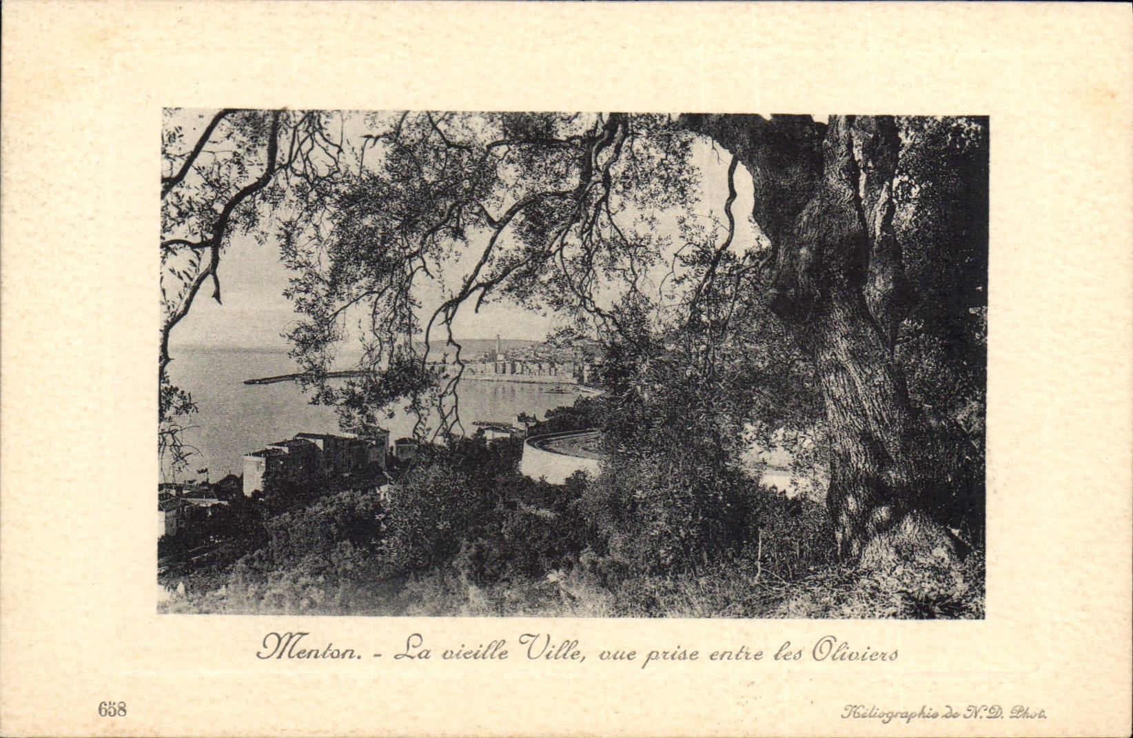 CPA Menton La vieille ville vue prise entre les Oliviers 