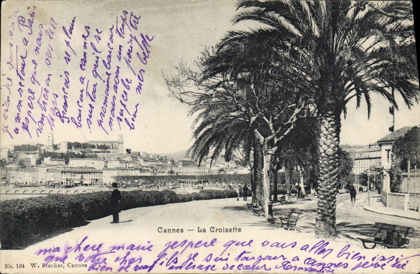 CPA Cannes La Croisette 
