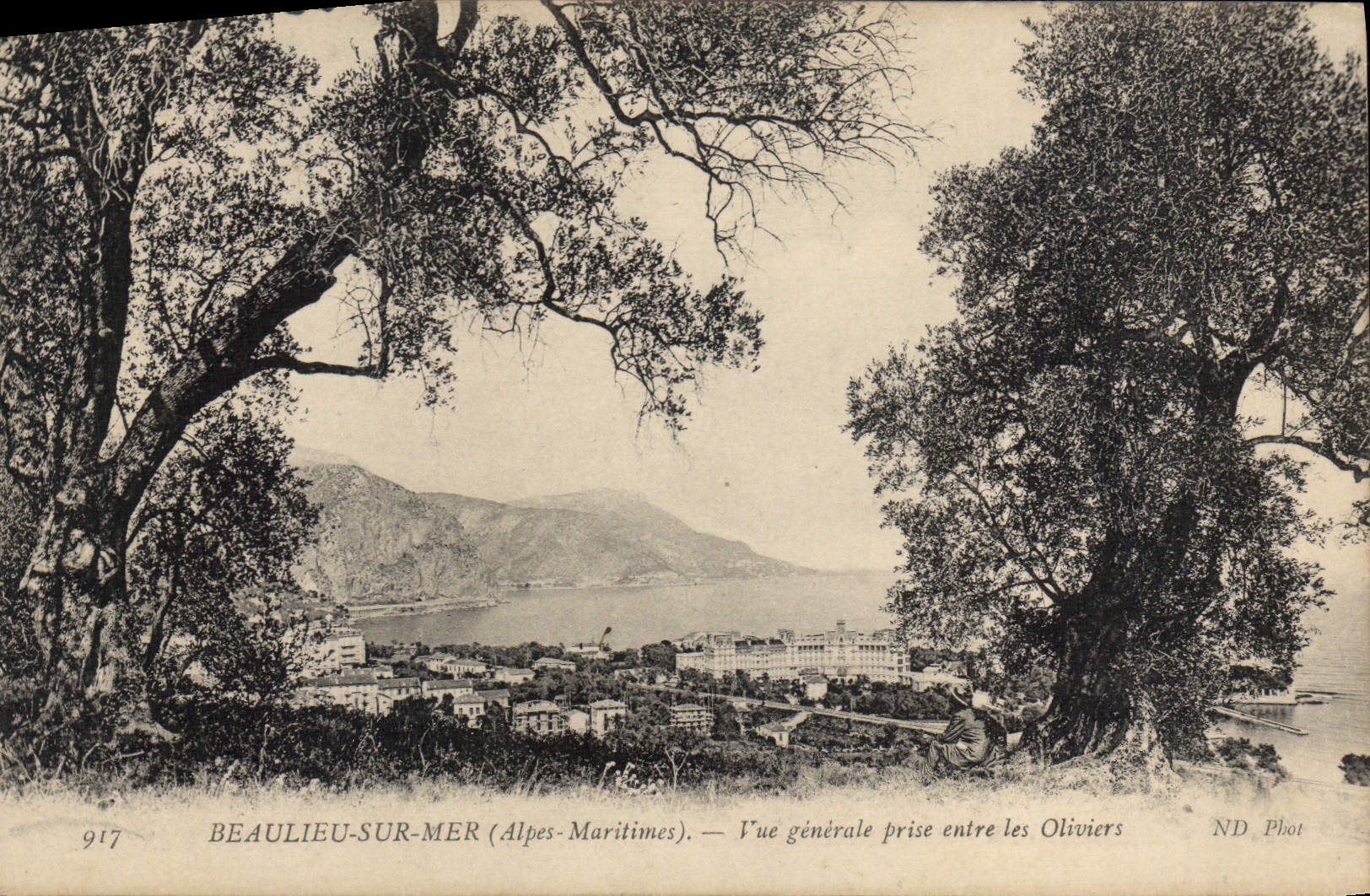 CPA Beaulieu sur Mer Alpes Maritimes Vue generale prise entre les Oliviers