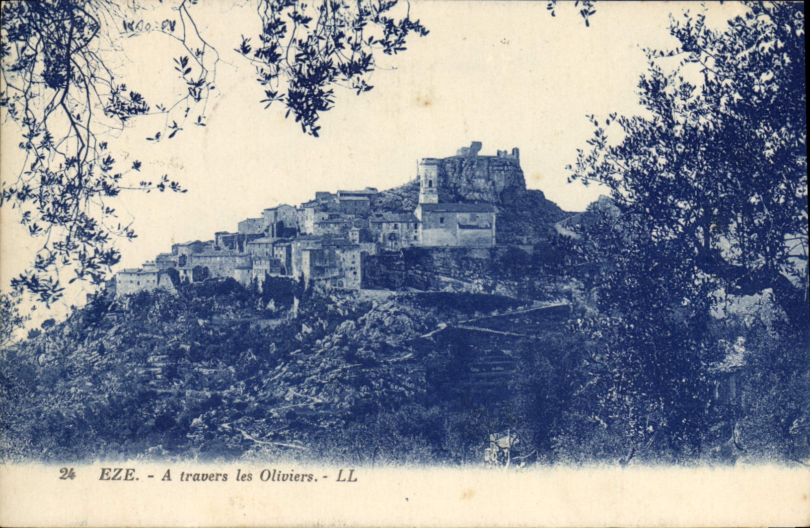 CPA Eze A travers les Oliviers 