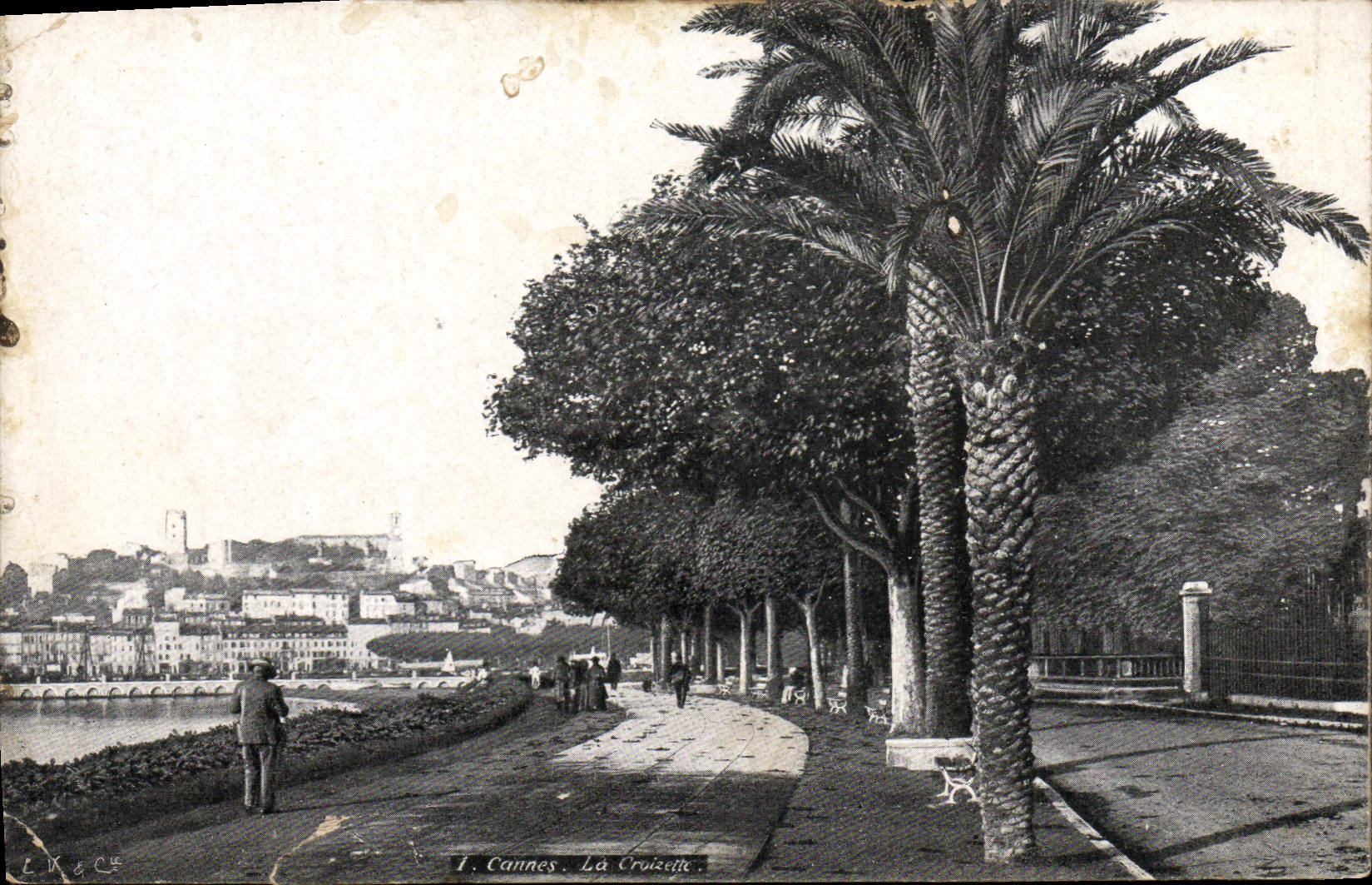 CPA Cannes La Croisette 