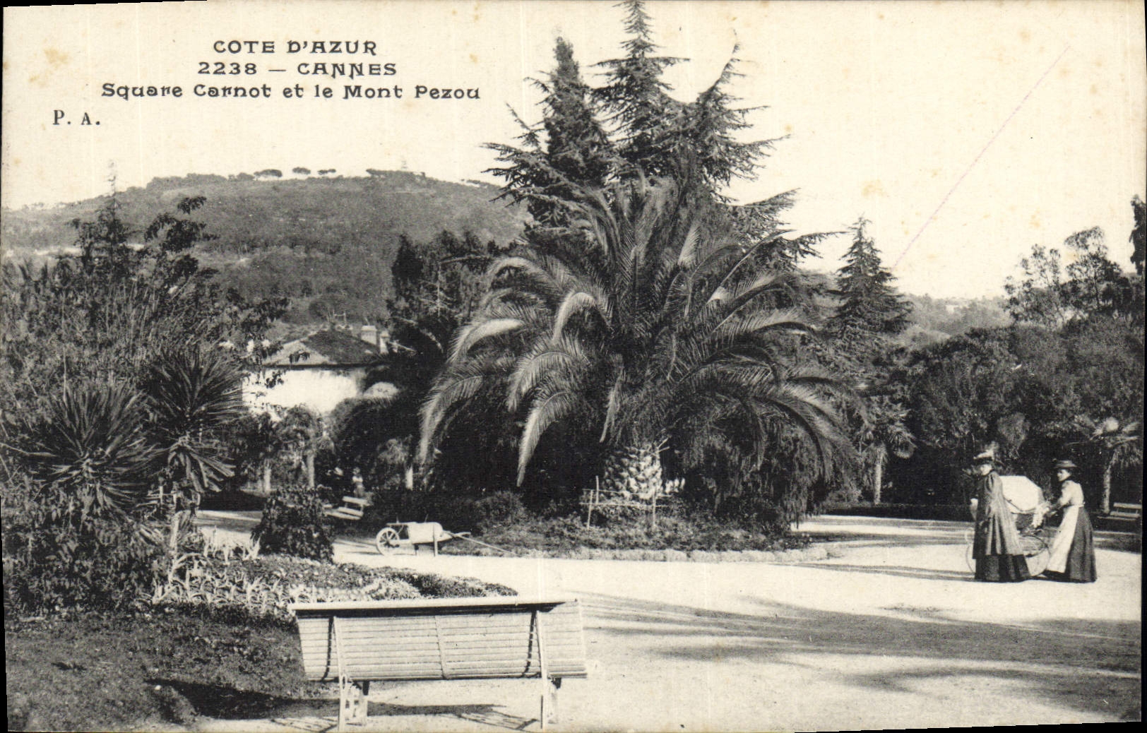 CPA Cote d'Azur Cannes Square Carnot et le Mont Perzou 