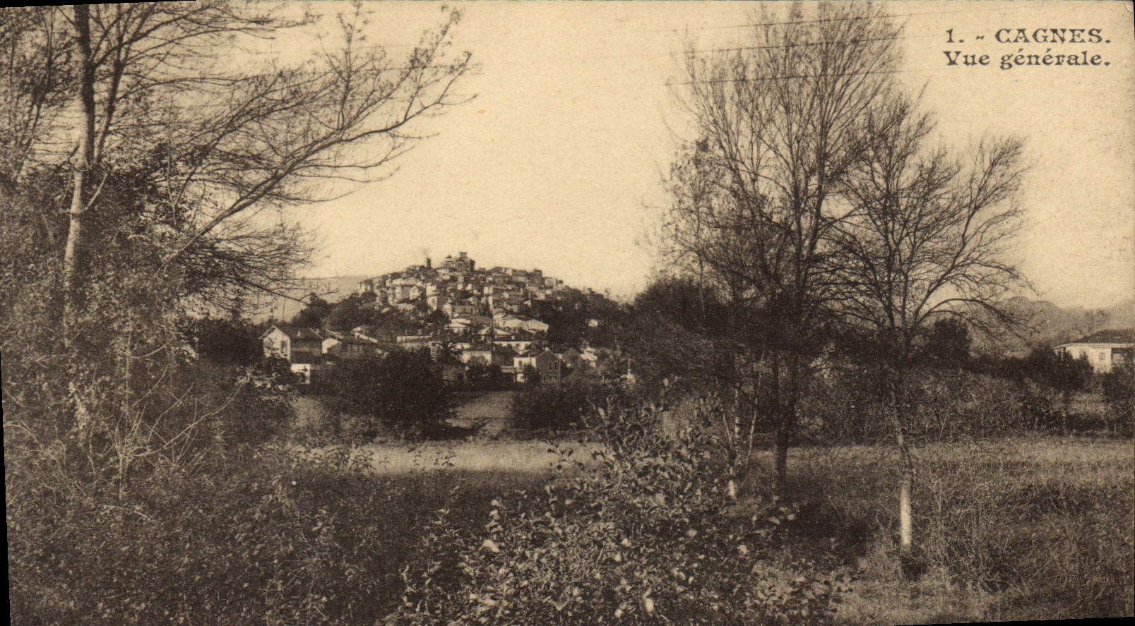CPA Cagnes Vue generale 
