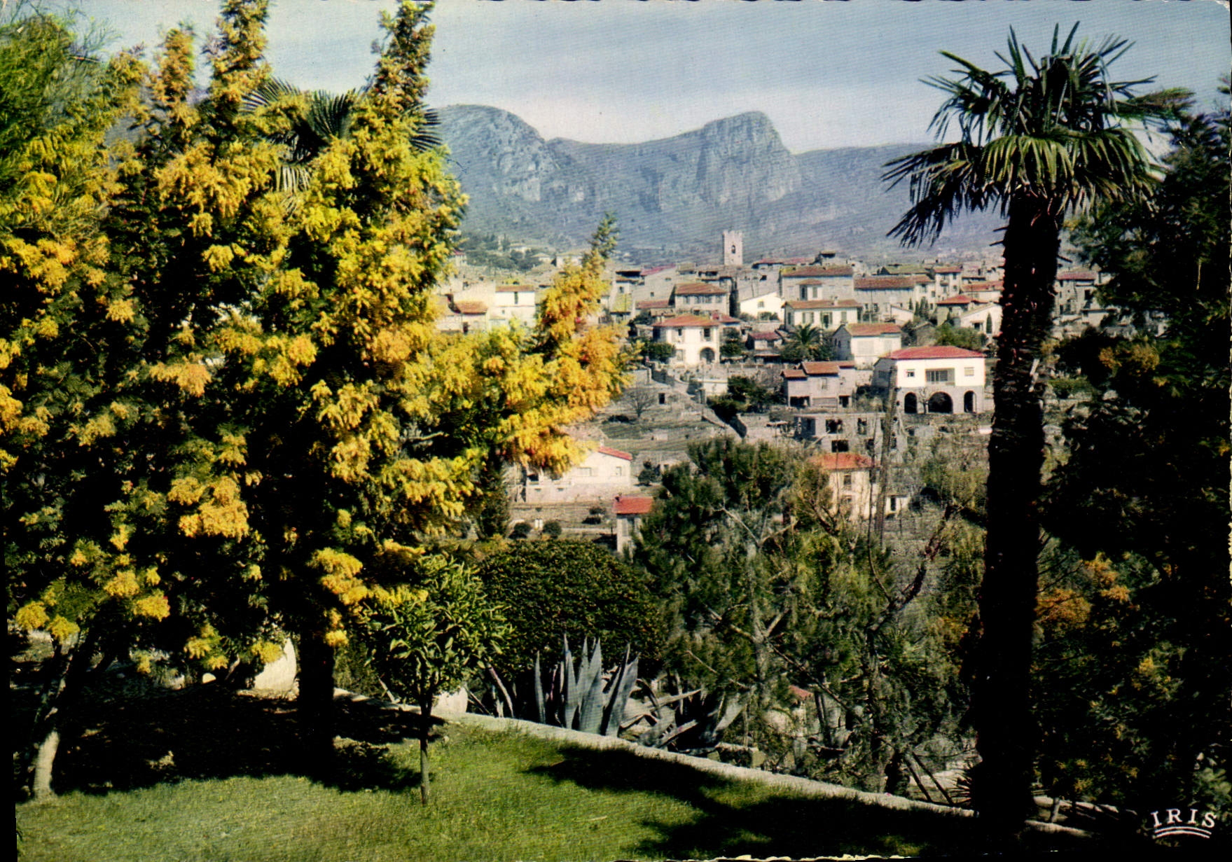 CPSM Reflets de la Cote d'Azur Vence Vue d'ensemble