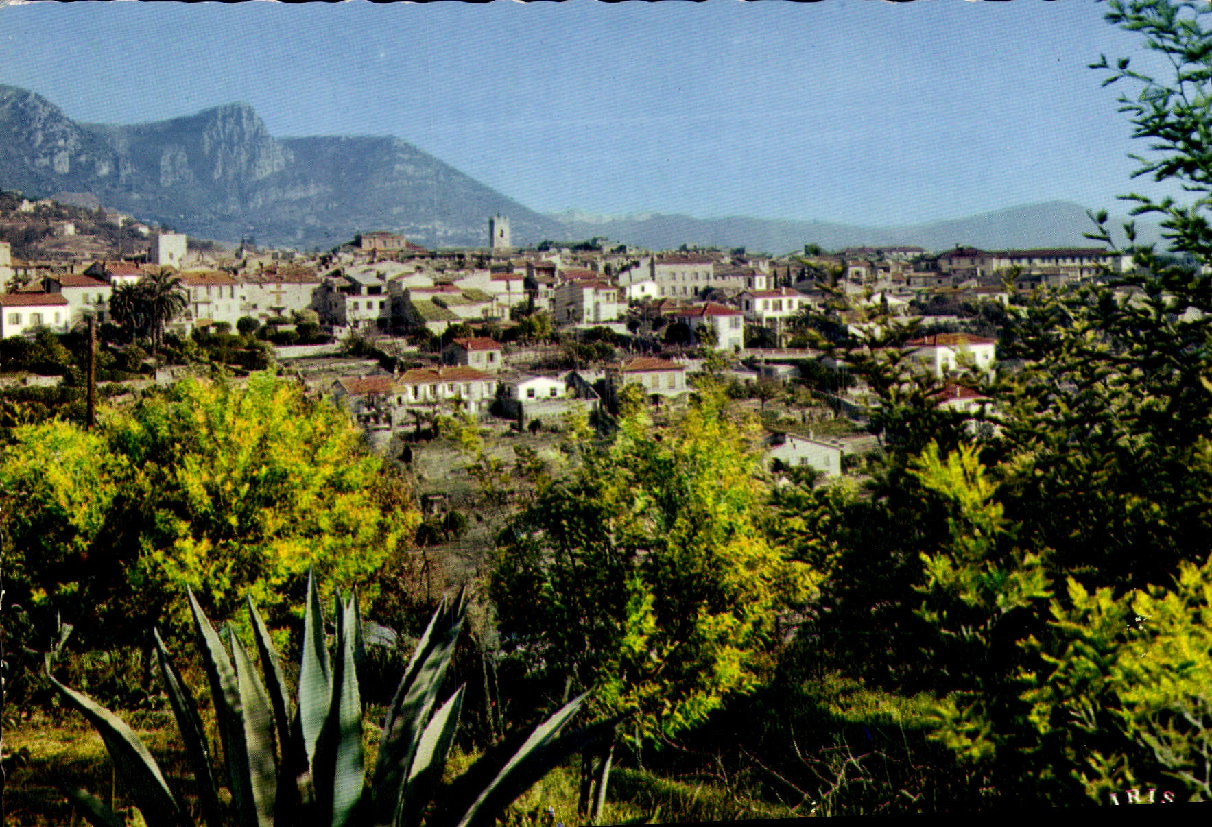 CPSM Reflets de la Cote d'Azur Vence Vue d'ensemble