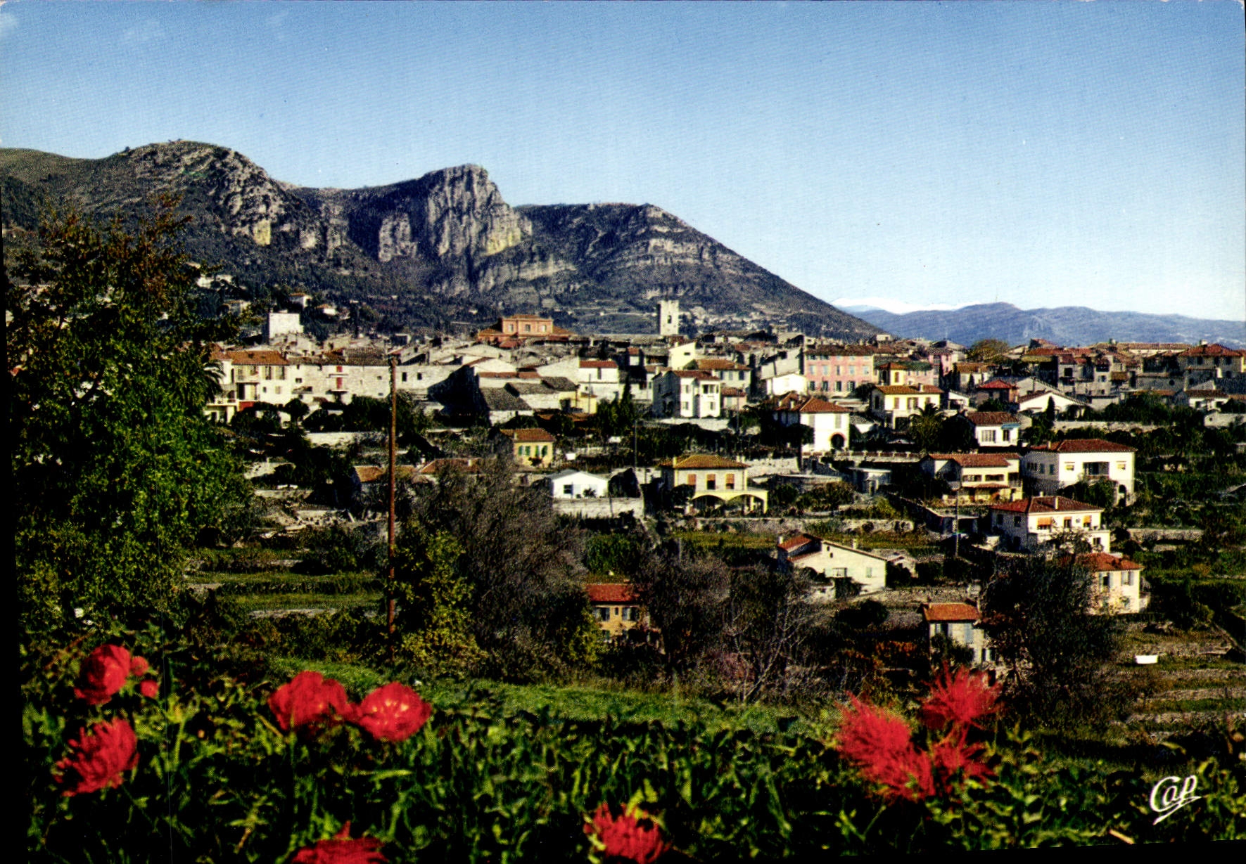 CPSM Cote d'Azur Vence La Jolie 