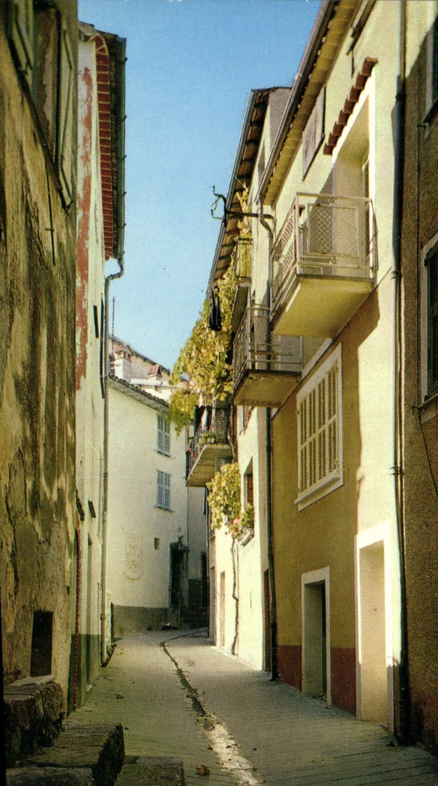 CPSM L'Arriere pays Nicois Levens rue Messena et eu fand sa maison natale 