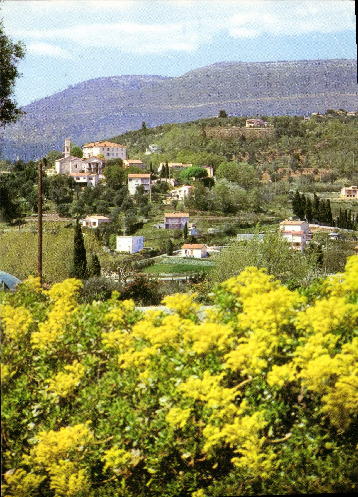 CPSM Environs de Grasse A M vue generale 