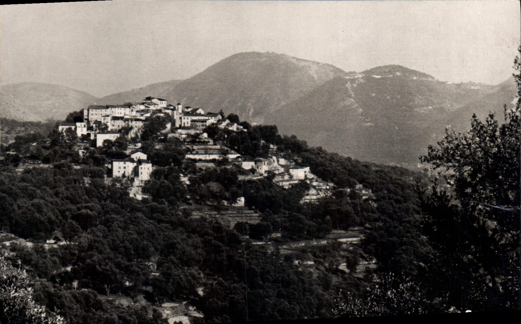 CPSM Falicon vue générale