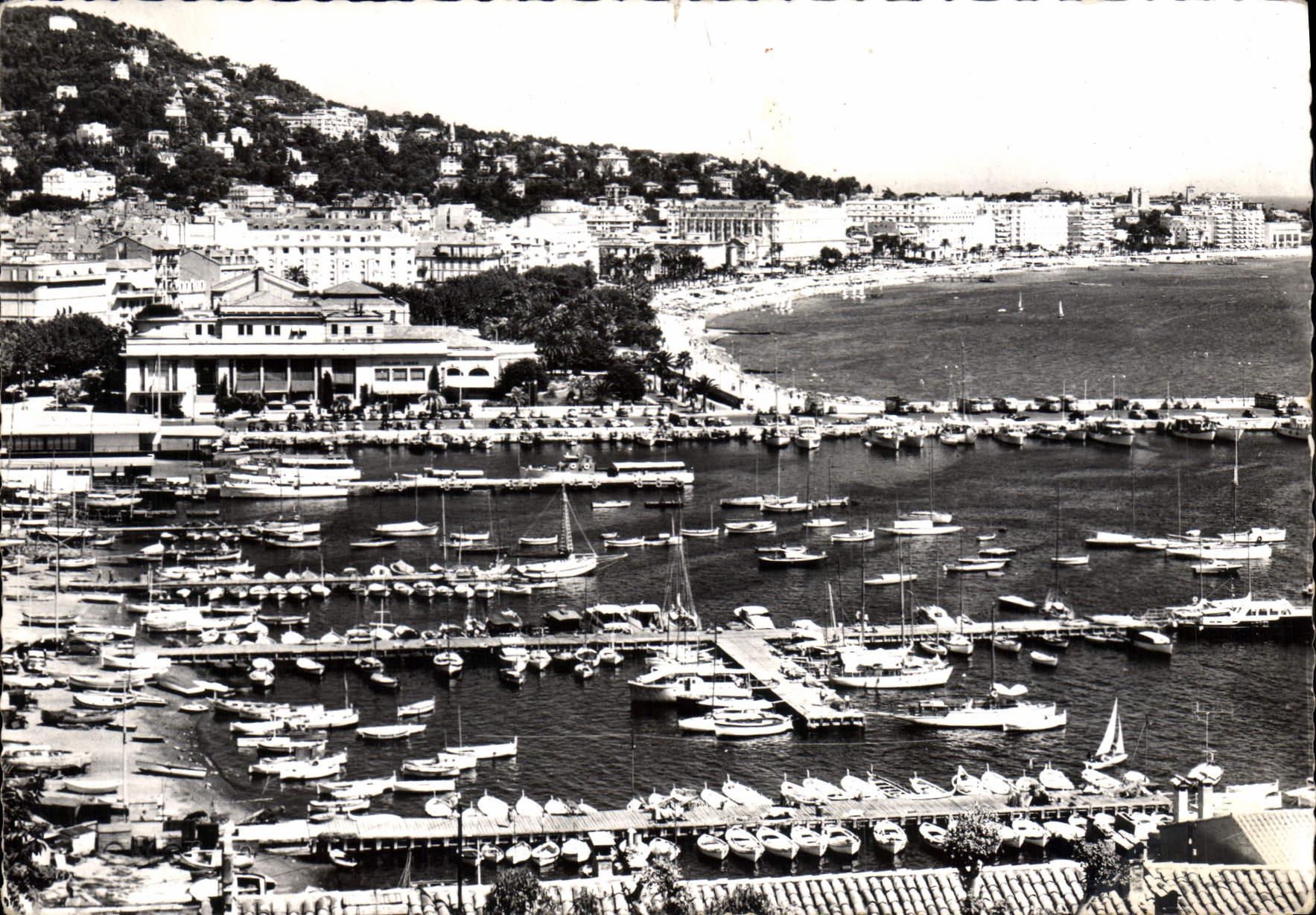 CPSM Canes La Cote d'Azur Vue generale sur le Port le Casino Municipale et le Craisette prise du Suq