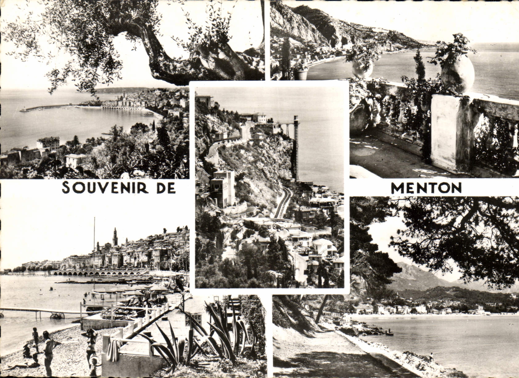 CPSM Menton La Cote d'Azur