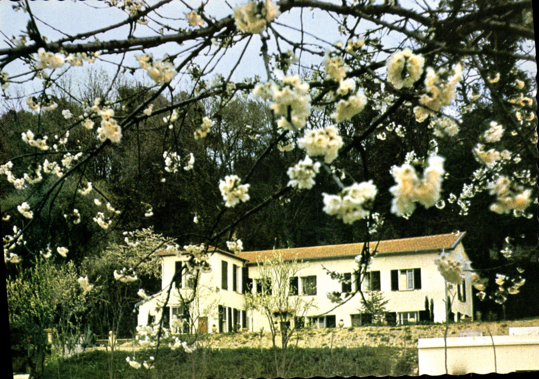 CPSM Foyer Saint Dominique Nice Le Clos