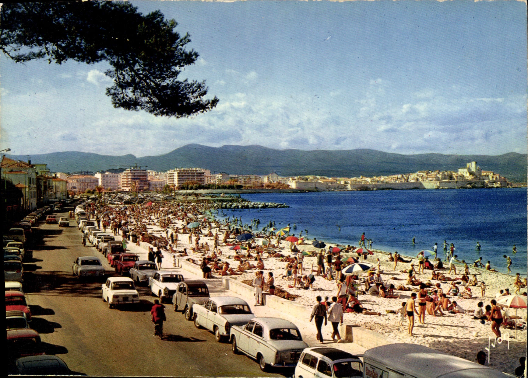CPSM Antibes (Alpes Maritimes) Couleurs et Lumiere de France La Cote d'Azur miracle de la nature la