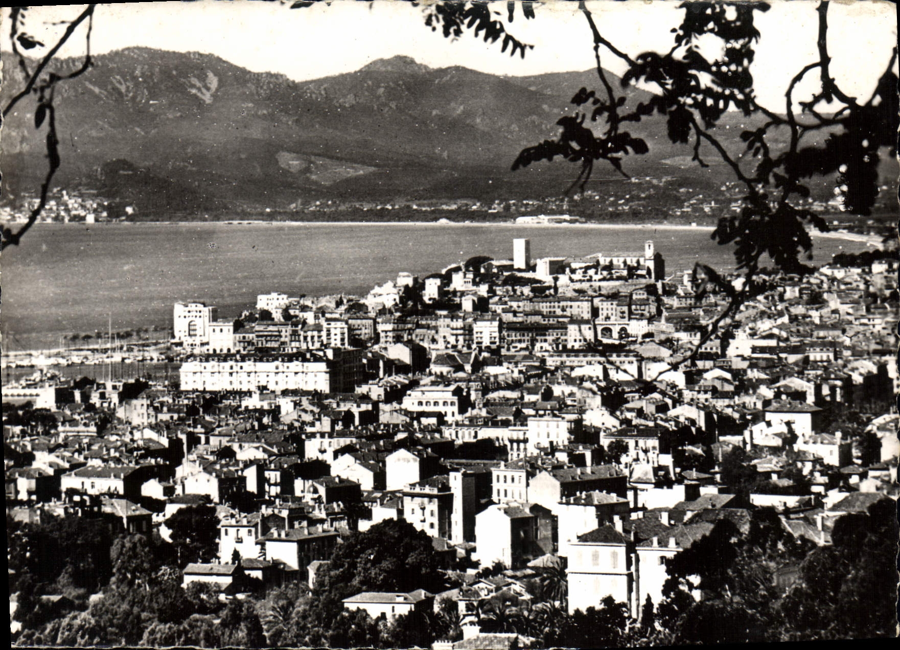CPSM Cannes La Cote d'Azur Vue generale