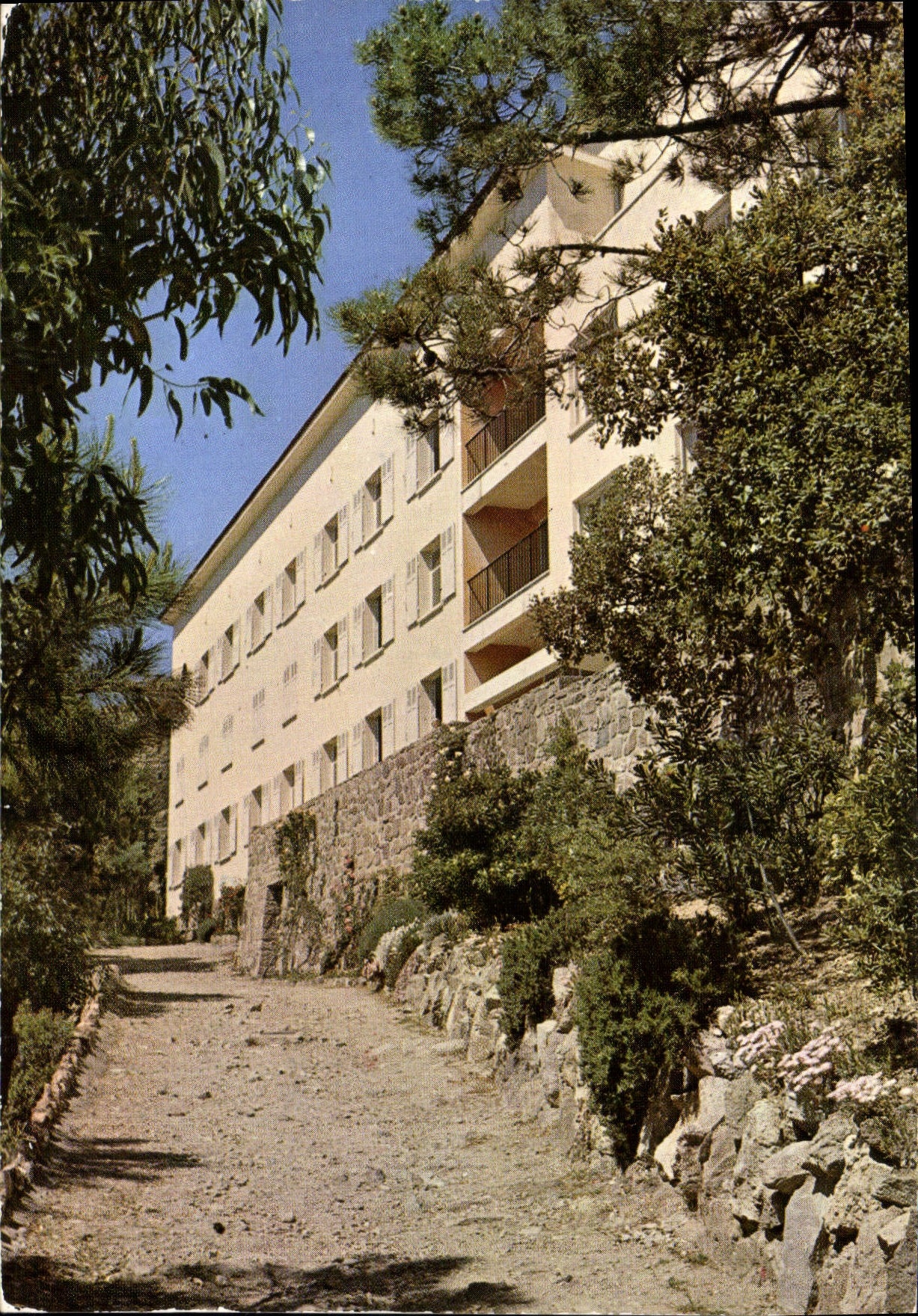 CPSM La Napoule (Alpes Maritimes) Les Mimosas Agecroft Centre de Conges des Mineurs des Houilleres d