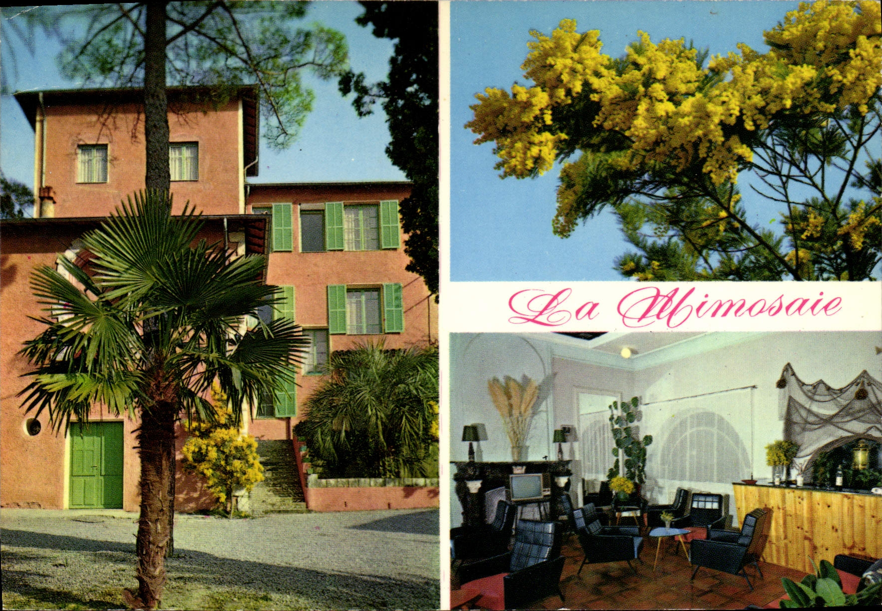 CPSM La Mimosaie Chemin des Caillades La Colle sur Loup